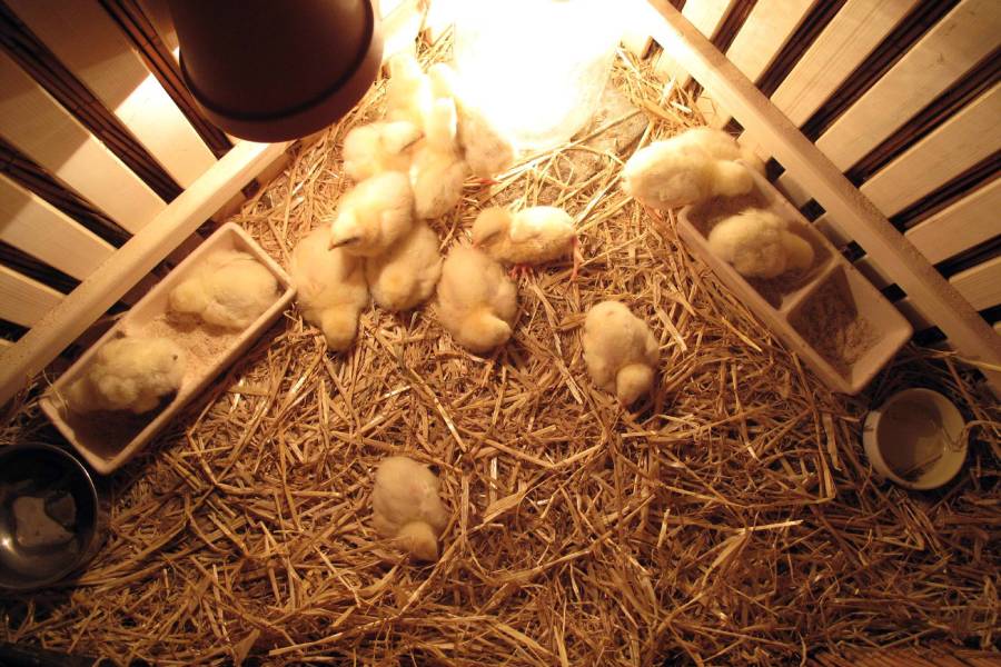 Velikonoce na zámku Štáblovice. Zdroj: Zámecký resort Štáblovice