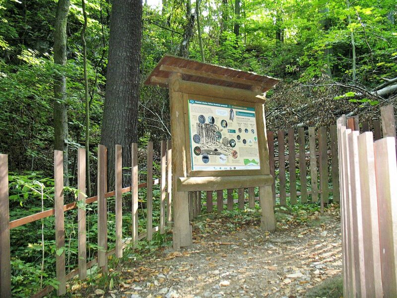 Národní přírodní rezervace Hůrka u Hranic.