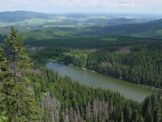 Pohled na Plešné jezero.