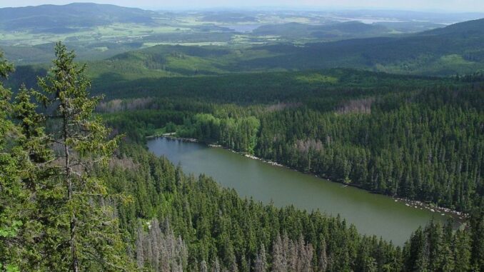 Pohled na Plešné jezero.