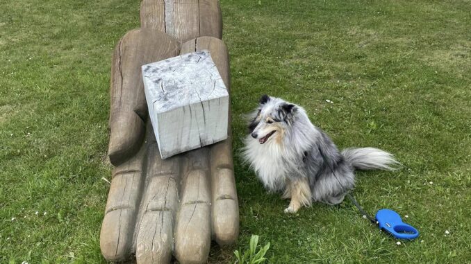 Kostka cukru Dačice