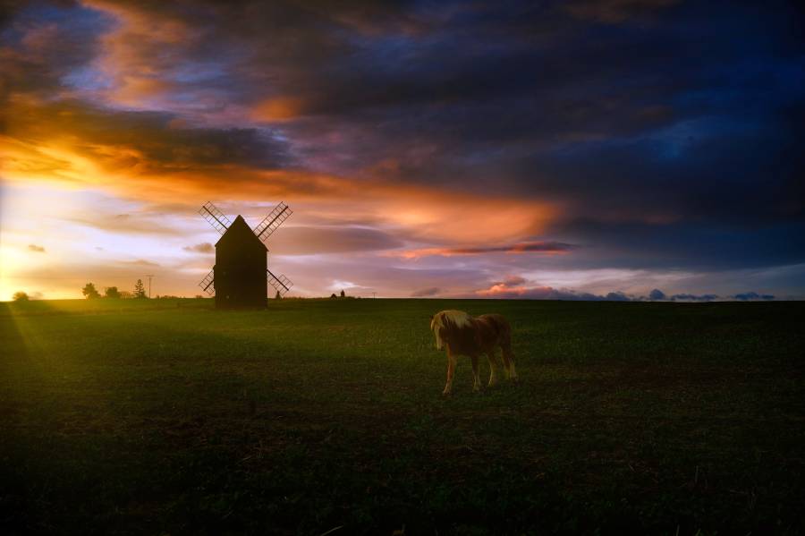 Větrný mlýn u Bílovce. Zdroj: Muzeum Bílovec