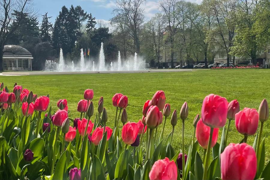 Lázně Poděbrady. Zdroj: Město Poděbrady