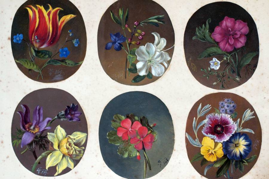 Album s květinami, které namalovaly dcery Matyldy Dubské. Zdroj: FB, @zámek Lysice