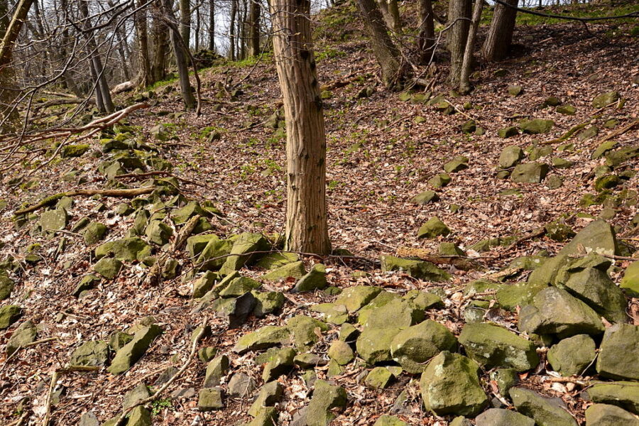 Zřícenina hradu Panna, zbytky opevnění.