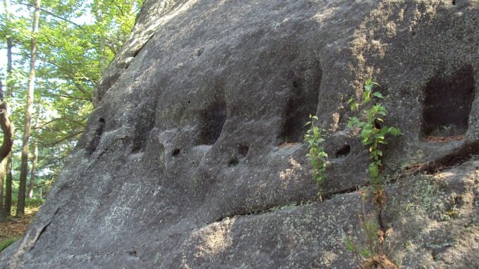 Zřícenina hradu u Hvězdy.