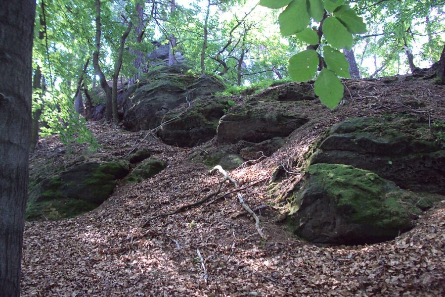 Zřícenina hradu u Hvězdy.