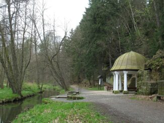 Zdislavina studánka na břehu Panského potoka. Zdroj: Marie Čcheidzeová. • CC BY-SA 4.0