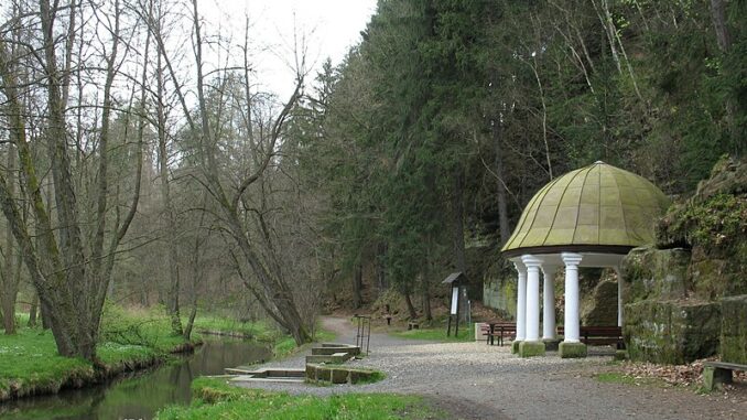 Zdislavina studánka na břehu Panského potoka. Zdroj: Marie Čcheidzeová. • CC BY-SA 4.0