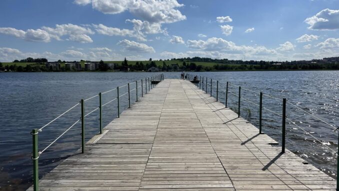 Bolevecký rybník. Foto: Eva Audiová