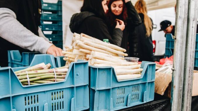 Chřestové a křenové slavnosti, Hostín u Vojkovic. Zdroj: ceskychrest.cz
