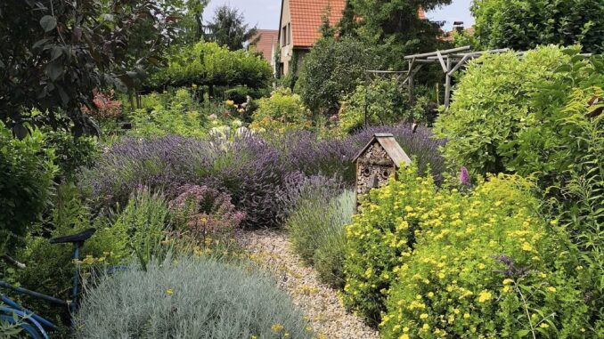 Levandulová zahrada Anette 