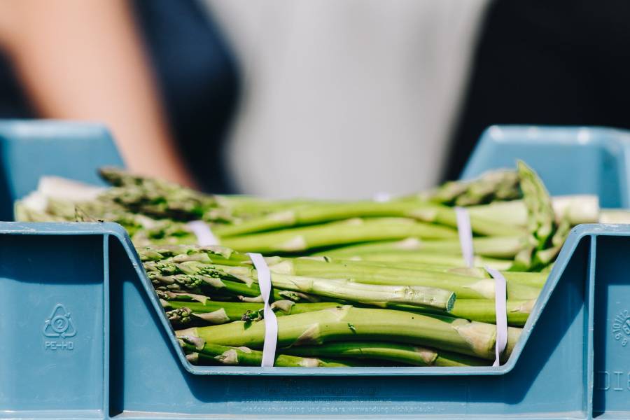 Chřestové a křenové slavnosti, Hostín u Vojkovic. Zdroj: ceskychrest.cz