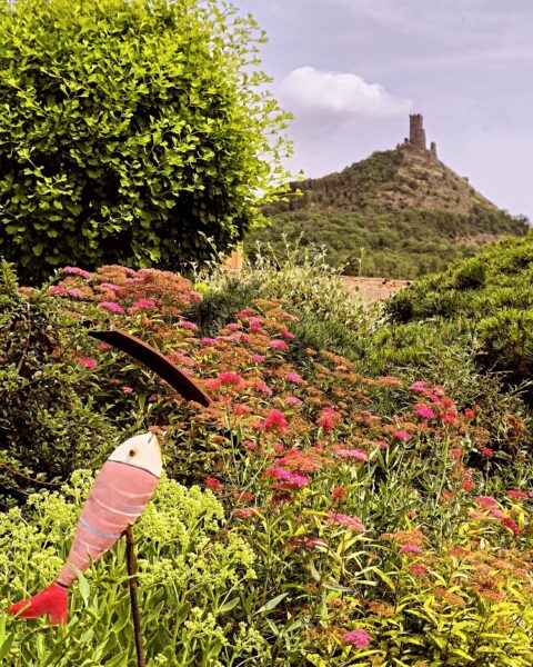 Levandulová zahrada Anette 