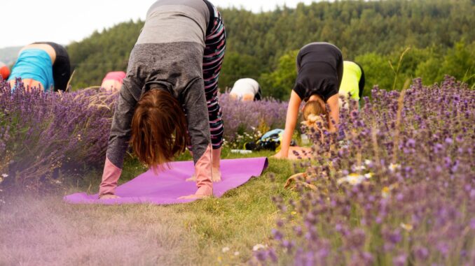 Levandulový statek Bezděkov