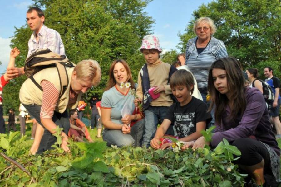 Svatojánské slavnosti bylin. Zdroj: Nobilis Tilia