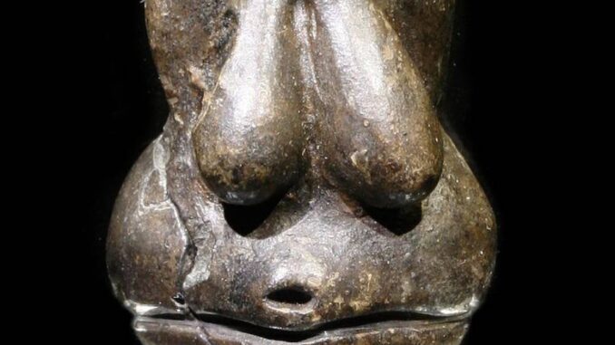 Věstonická venuše, výřez fotky. Autor: Petr Novák, Wikipedie. Zdroj: Wikimedia Commons, CC 2.5