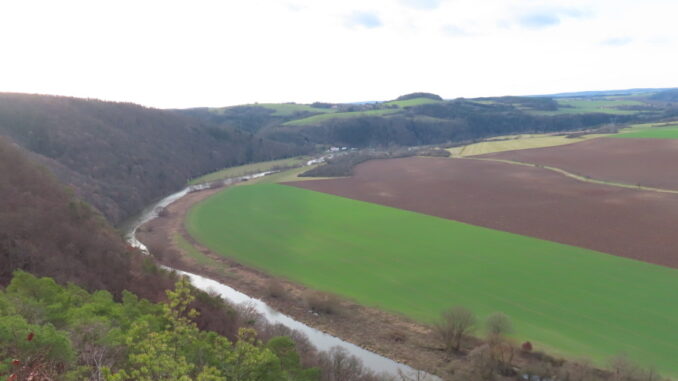 Chlumská stráň. Pohled na Berounku.