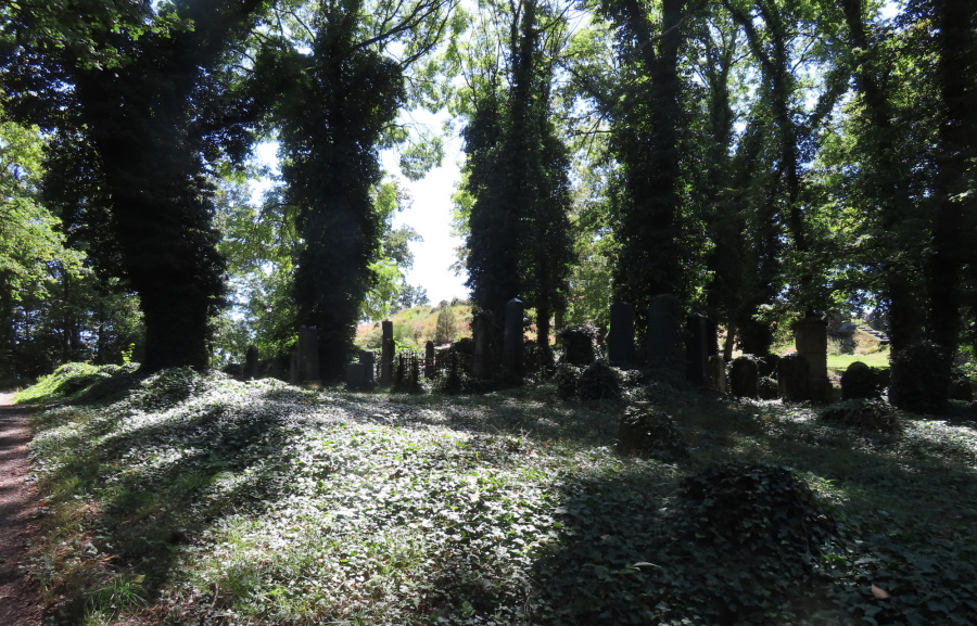 Starý židovský hřbitov v Oseku. Zdroj foto a autor: Pavla Košík Jelínková