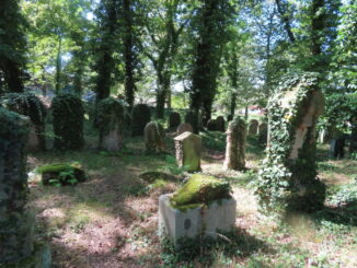 Starý židovský hřbitov v Oseku. Zdroj foto a autor: Pavla Košík Jelínková