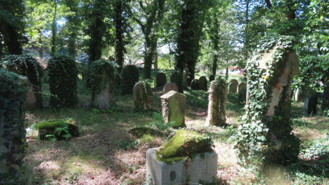 Starý židovský hřbitov v Oseku. Zdroj foto a autor: Pavla Košík Jelínková