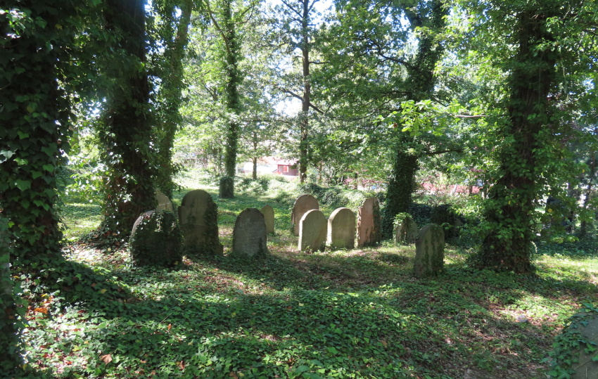 Starý židovský hřbitov v Oseku. Zdroj foto a autor: Pavla Košík Jelínková