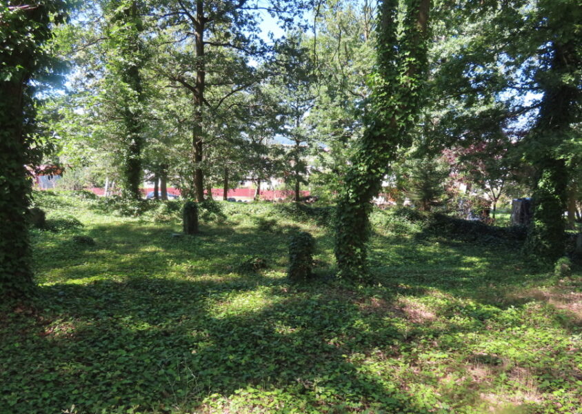 Starý židovský hřbitov v Oseku. Zdroj foto a autor: Pavla Košík Jelínková