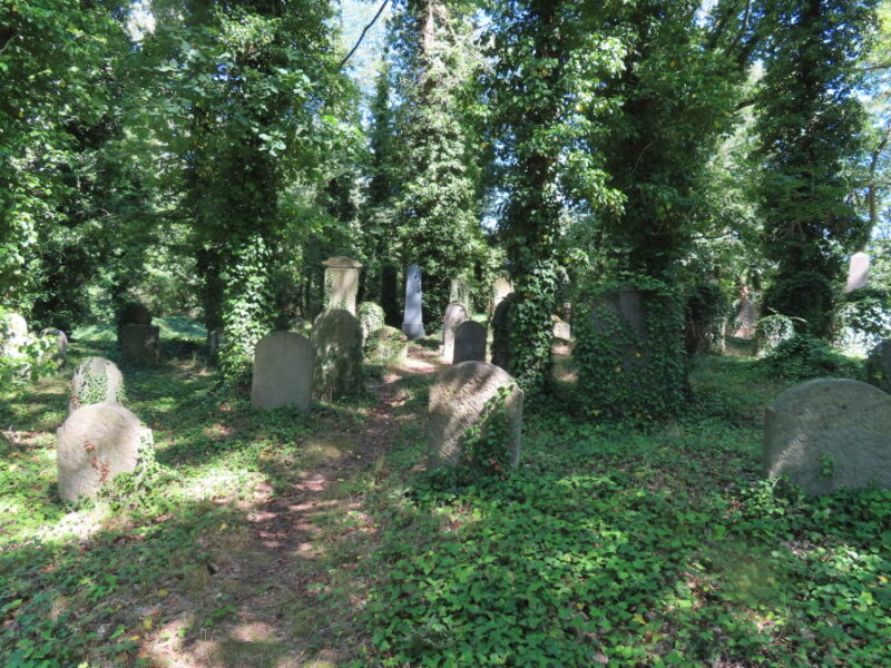 Starý židovský hřbitov v Oseku. Zdroj foto a autor: Pavla Košík Jelínková