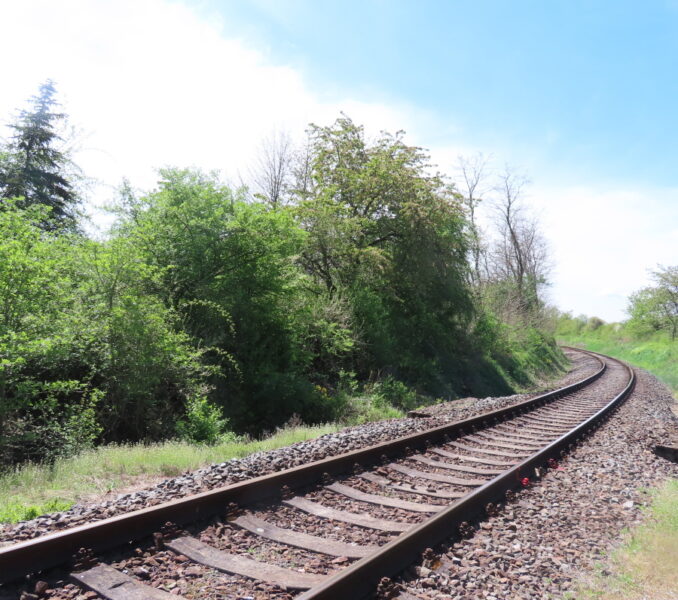 Trasa směrem k obci Smědčice. Zdroj foto: Pavla Košík Jelínková