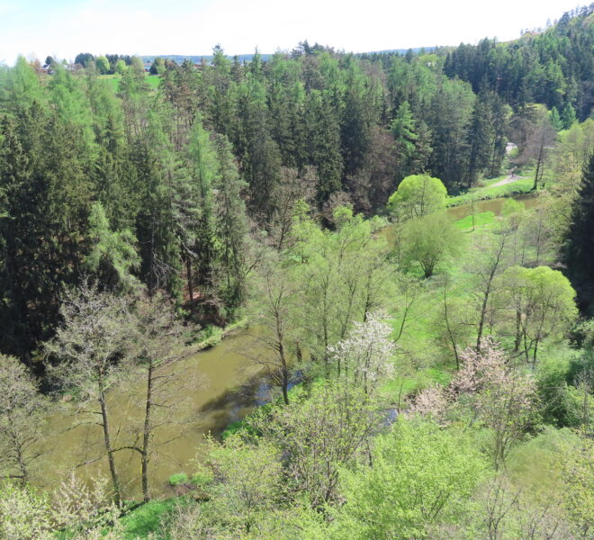 Údolí řeky Klabavy. Zdroj foto: Pavla Košík Jelínková