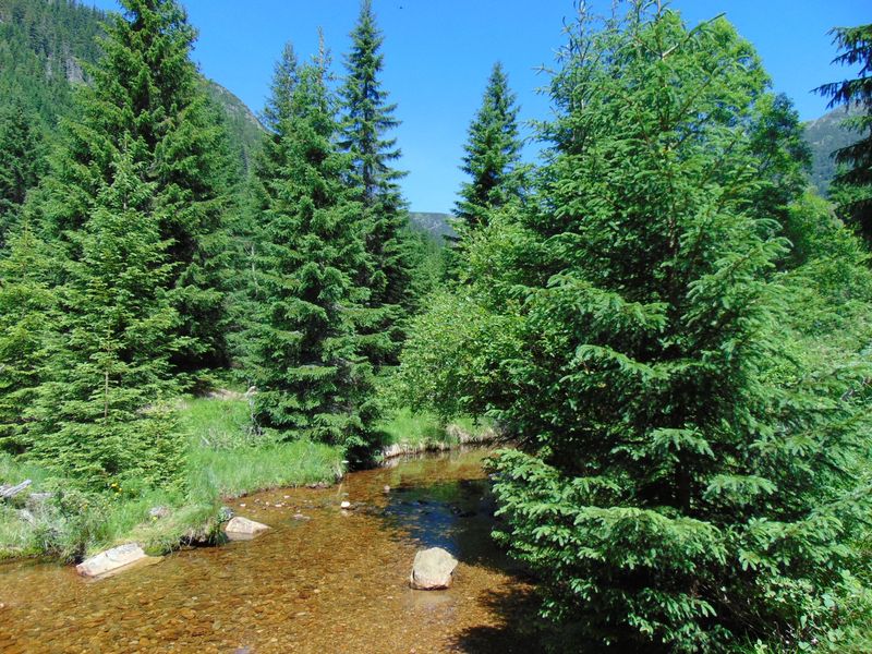 Údolí Obří Důl a řeka Úpa v Krkonoších. Zdroj: Shutterstock.com/2413522743/Amanda Ines