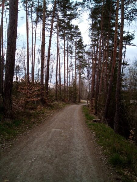 K mostu dojdete od nádraží polní pěšinou. Autor a zdroj foto: Pavla Košík Jelínková
