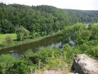 Řeka Berounka pod zříceninou hradu Věžka. Autor: Lenka64, volné dílo. Zdroj: Wikimedia Commons