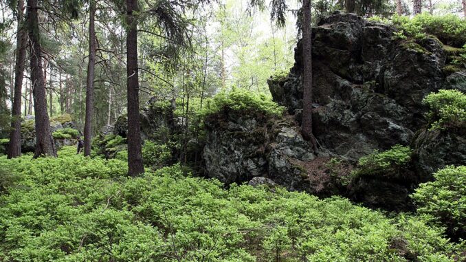 Halštrov. Goethova skalka.