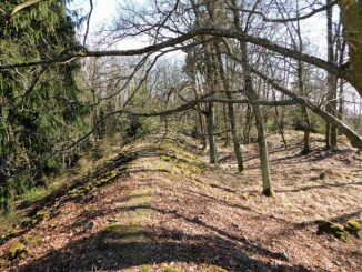 Hradiště Březina.