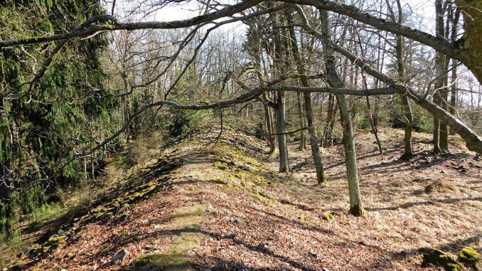 Hradiště Březina.