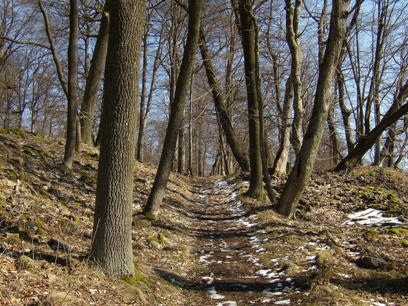 Hradiště Březina.