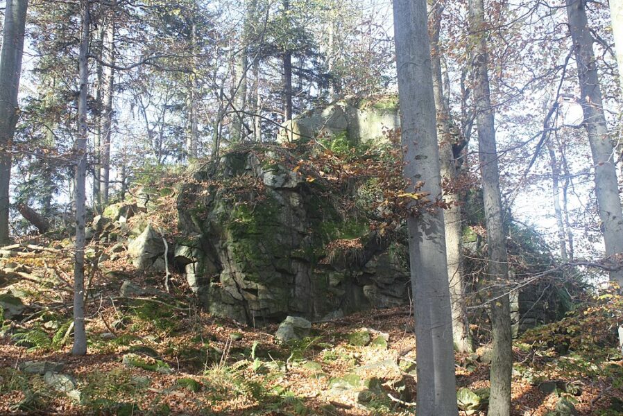 Jaronínská bučina. Skalní útvary.