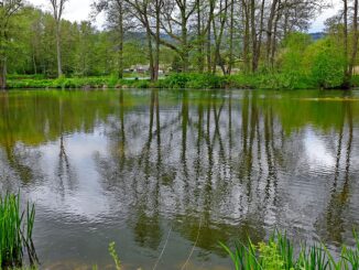 Borecké rybníky, rybník Mulda.