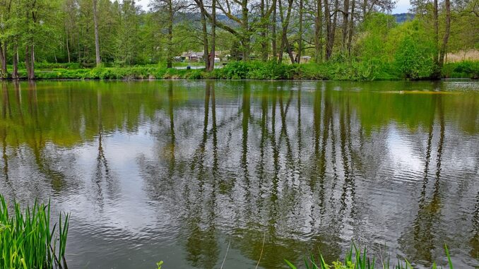 Borecké rybníky, rybník Mulda.