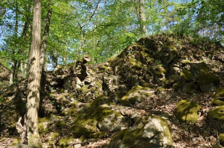 Zřícenina hradu Košíkov v okrese Brno-venkov. Foto: Petr Fabian. Zdroj: Hrady-zříceniny.cz