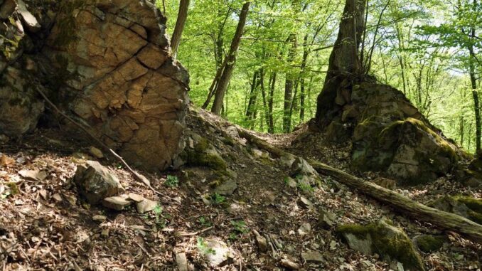 Zřícenina hradu Košíkov v okrese Brno-venkov. Foto: Petr Fabian. Zdroj: Hrady-zříceniny.cz