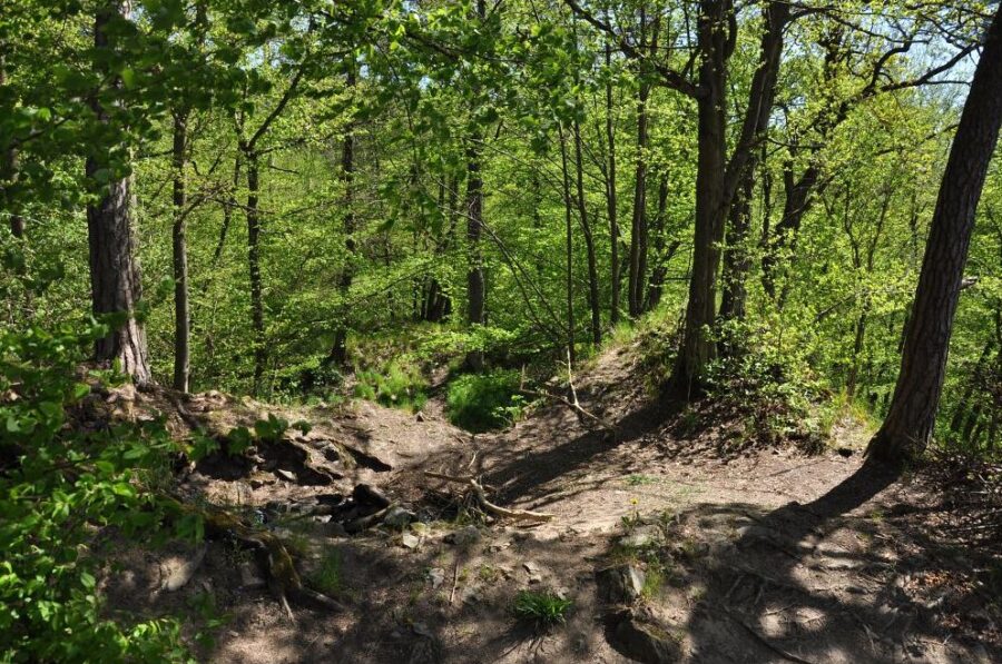 Zřícenina hradu Košíkov v okrese Brno-venkov. Foto: Petr Fabian. Zdroj: Hrady-zříceniny.cz