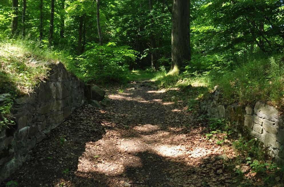 Zřícenina hradu Křídlo v okrese Kroměříž. Foto: Petr Fabian. Zdroj: <a href="http://www.hrady-zriceniny.cz">Hrady-zříceniny.cz</a>