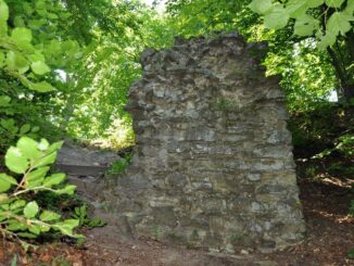 Zřícenina hradu Křídlo v okrese Kroměříž. Foto: Petr Fabian. Zdroj: Hrady-zříceniny.cz