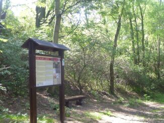 Přírodní památka Černá stráň na Staroplzenecké naučné stezce.