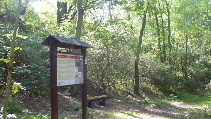 Přírodní památka Černá stráň na Staroplzenecké naučné stezce.