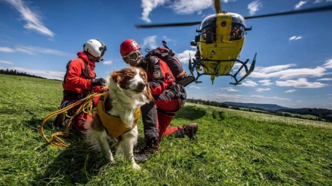 Kynologická brigáda s psím záchranářem. Ilustrační foto. Zdroj: Horská služba ČR