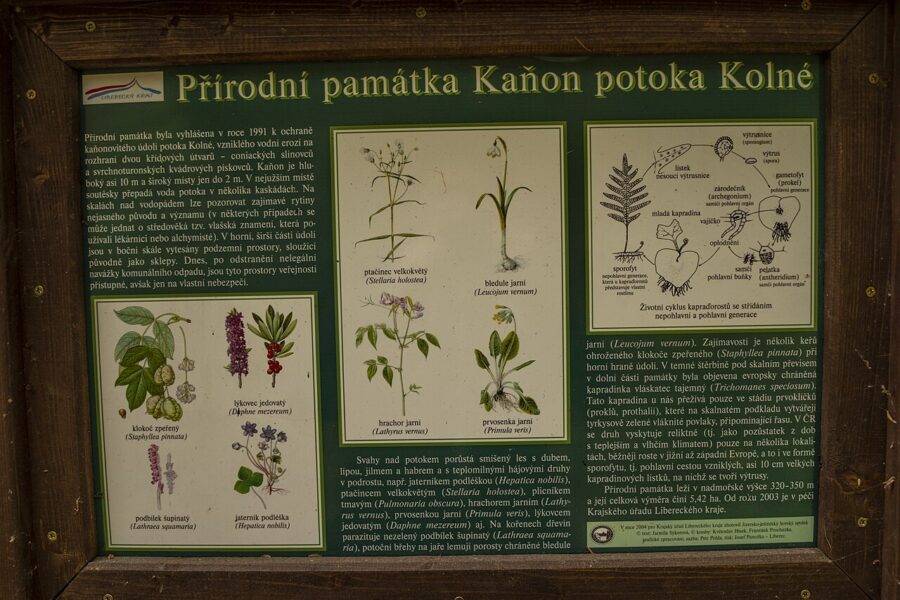 Kaňon potoka Kolné.