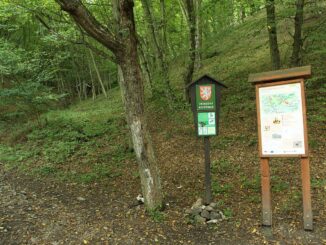 Přírodní rezervace Karlické údolí.